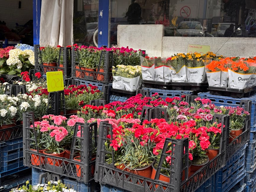 An outdoor display of various potted flowering plants arranged in black plastic crates on a sidewalk in front of a flower shop. The flowers include pink, red, white, yellow, and orange blooms, such as